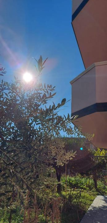Brancaleone Marina Apartment | Appartamento L'Ulivo