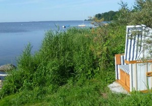 Beachfront apartment with terrace and sea view - Ferienhaus Boddenblick FeWo EG
