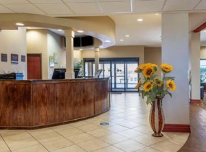 Comfort Suites Airport South | Montgomery