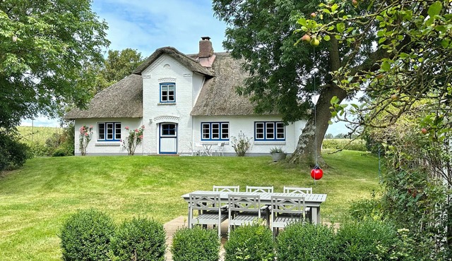 Comfortable thatched-roof house in a fantastic secluded location near St. Peter-Ording