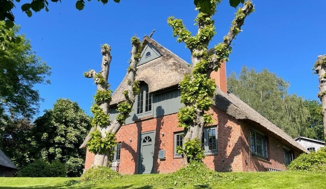 Heavenly thatched cottage - directly on the dike and at the gates of Hamburg.