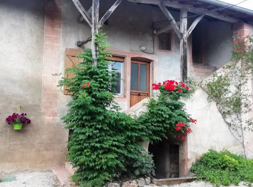 La Maison MOJA