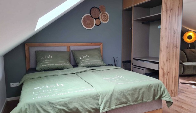 Modern studio/apartment